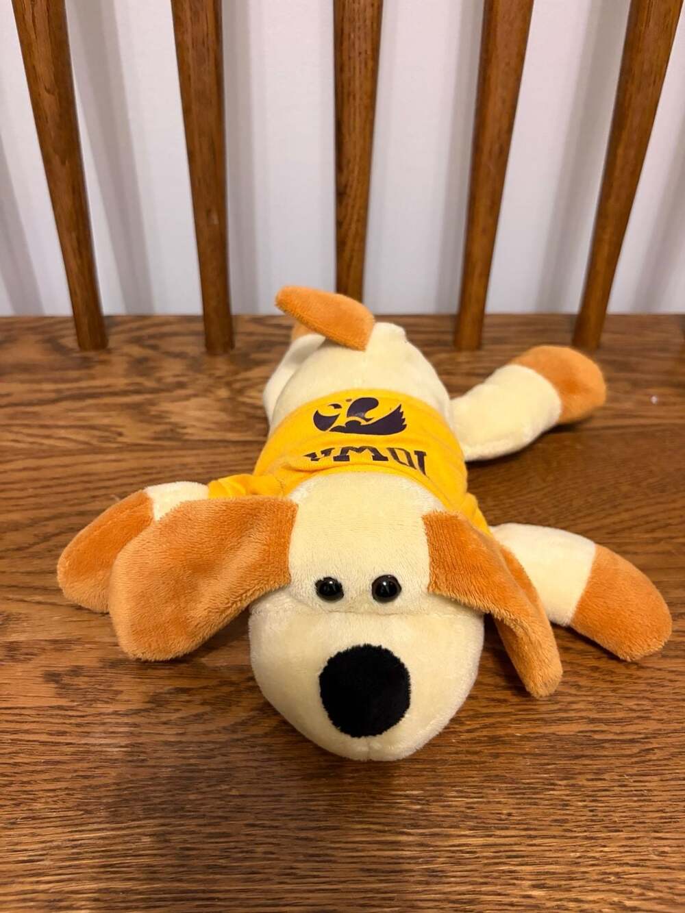 Plushland University of Iowa Hawkeyes Floppy Dog Stuffed Animal